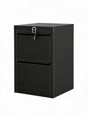 EcoSummer Black 2-Drawer Lockable Steel File Cabinet, Heavy Duty Under Desk Metal Filing Cabinet with Anti-Tip Structure, Fits Letter & Legal Documents, Office Document Storage Cabinet