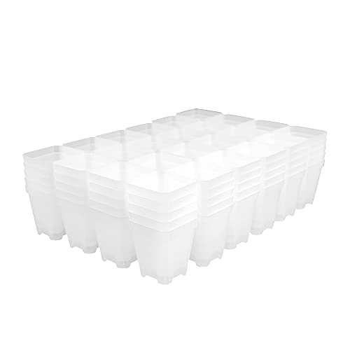 BangQiao 120 Pack Small 2.70 Inch Clear Plastic Square Nursery