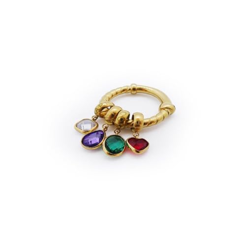 Anillo de acero AL.R2WI23SMC-8 accesorio resistente antiaranazos