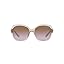 Transparent Light Brown/Violet Gradient Brown