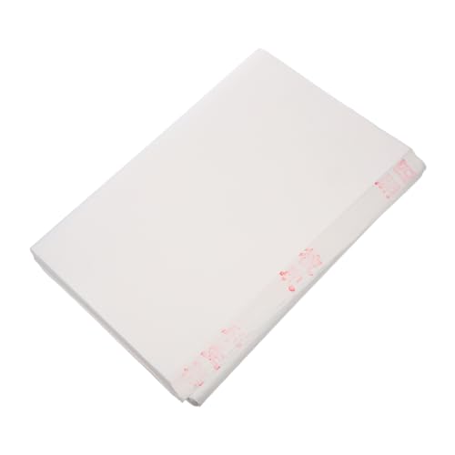 Papier Xuan anti-déchirure NUOBESTY en pulpe de bambou pour éviter les bavures de peinture sumi