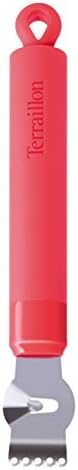 Terraillon Access Bowl Scraper, Professional and Household Utensil, Integrated Hanging Loop, Express Your Chef, Silicone, Citrus
