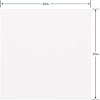 American Greetings Bulk White Tissue Paper (50 Sheets, 20 x 20) for Birthdays, All Occasions, Christmas, Valentine's Day, Gift Bags, Boxes, Gift Wrap, Crafts, Paper Flowers, Pom Poms, and More