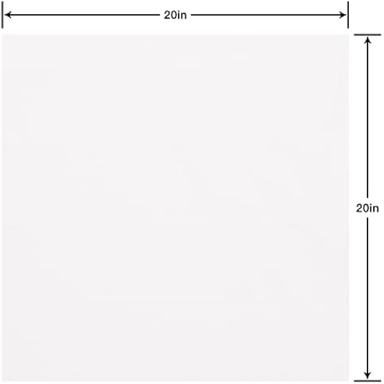 American Greetings Bulk White Tissue Paper (50 Sheets, 20 x 20) for Birthdays, All Occasions, Christmas, Valentine's Day, Gift Bags, Boxes, Gift Wrap, Crafts, Paper Flowers, Pom Poms, and More