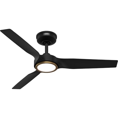 Ceiling Fan with Lights