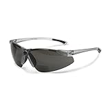 Radians C2-225 Bi-Focal Reading Safety Glasses with Smoke 2.5 Lens