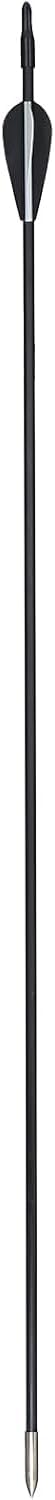 Toparchery Lot de 12 flèches en Fibre de Verre pour tir à l'arc de 31 Pouces - Flèches en Fibre de Verre pour arcs recurvés et arcs de Sport, Spine 800