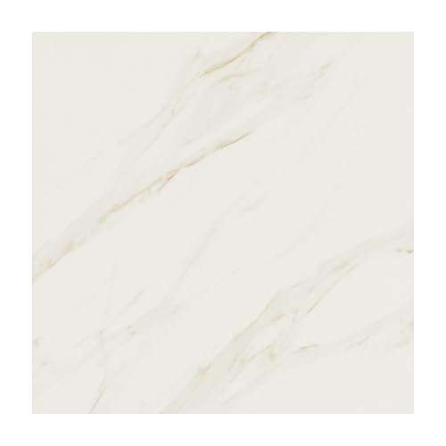 Daltile Florentine 12" X 12" Glazed Porcelain Floor Tile in Carrara (13 PC Per Carton) (12.22 SQFT Per Carton) by Daltile - Used condition - US$43.22