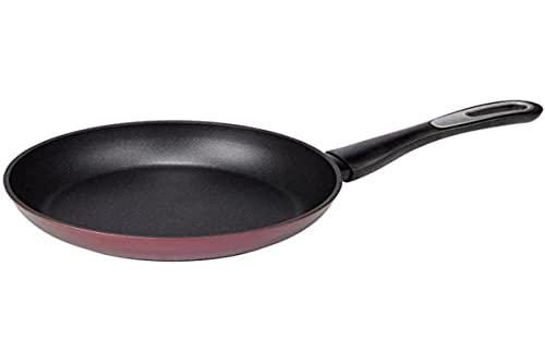 Jata Hogar SF924 - Sartén antiadherente de aluminio forjado. Apta para todas las cocinas,...