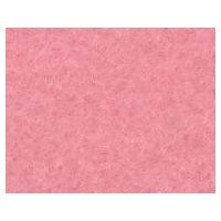 サンフェルト ウォッシャブルフェルト 18角 約18×18cm RN-04