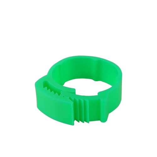 Anneaux de jambe de volaille à cliquet réglable 20-24mm vert pour grand oiseau