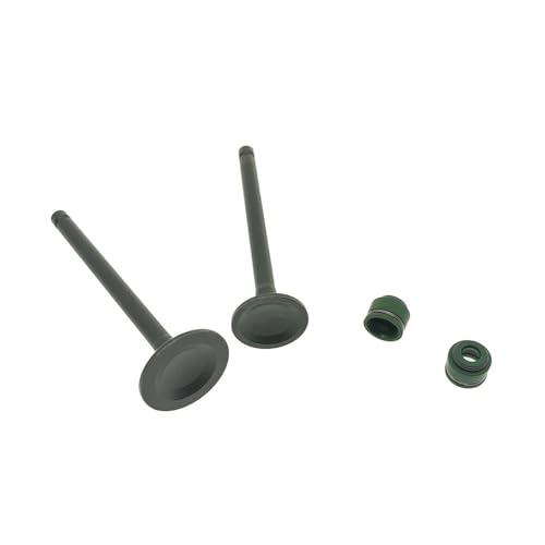 Soupape d'admission étanche compatible XR80R et XL80S