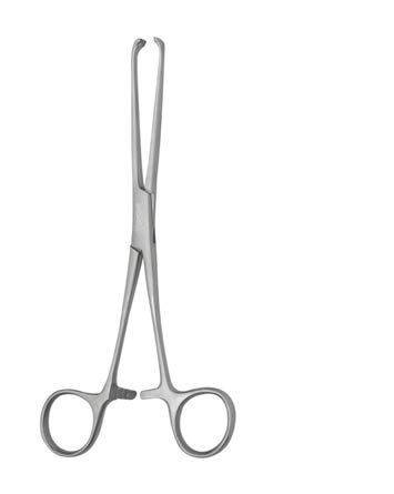 SCULAPE Stainless Steel Tissue/Organ/Gland Holding Forceps- Allis Tissue Forcep- 20 cm