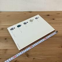 鼻煙壺一對 陶器　陶磁器　中国陶磁器　清時代　光緒年製 民国 虫 鼻煙壺一對 陶器 陶磁器 中国陶磁器 清時代 光緒年製 民国 虫