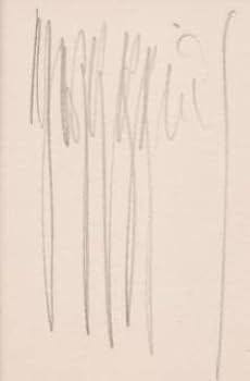 Amazon.co.jp: マーク・キング オーガスタ・11番ホール マスターズ