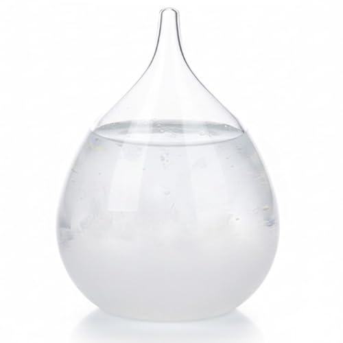Cadeau idéal verre tempête goutte météo pour collègue et ami