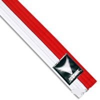 ProForce Thunder Renshi Belt size 5