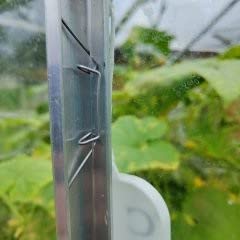 GAO Flora 50 Gewächshausklammern Edelstahl mit verstärkter Spannkraft | Rostfreie Gewächshausklemmen für Hohlkammerplatten bis 6mm und Glasscheiben ab 3mm