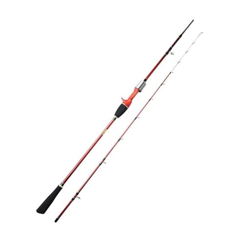 Canne à pêche 2 sections légère max 120g avec pointe M pour la mer - 2