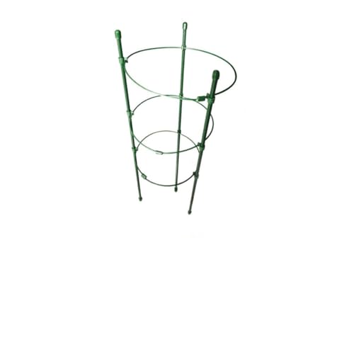 FUNOMOCYA 4K[fgX NC~OApx ؃P[WX^h ACA ώK g}g s[} iX uhEΉ T|