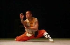 Mastering Hung-Gar Kung-Fu Weapon Form KWAN-DO 2 Starring World Renowned Master David Lee MARTIAL ARTS INSTRUCTIONAL TRAINING [VHS]