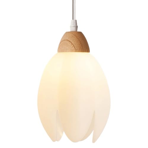 Lampe suspendue cuisine et chambre au style loft élégant