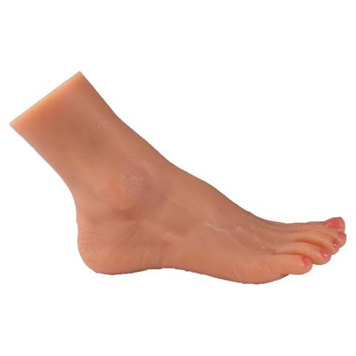 VnmcryVR͌^ fl` 4FA}lL fbTl`g lCKf VR 21.5Cm E AWAnF