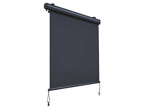 Canopée Store Vertical Rétractable avec Coffre, Store Enrouleur Exterieur avec Manivelle pour Balcon, Terrase, Brise Vue pour Jardin, Gris, 2,5 x 1,4 m (H x L)