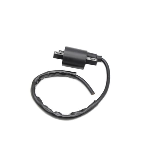 Bobina de encendido de motocicleta para recambio de sistema 20N-82310-40