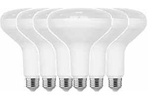 Home Depot 75-Watt Equivalent BR40 Dimmable LED Light Bulb