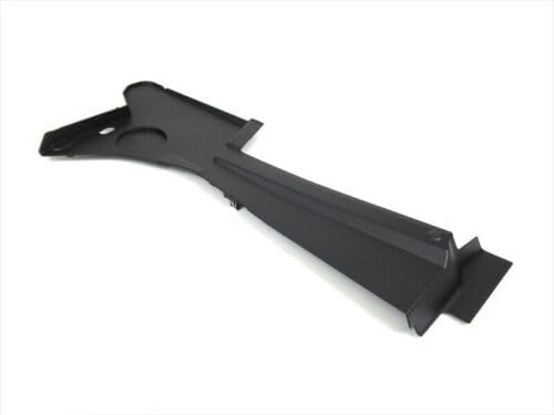 Amazon.com: 08-20 Challenger Under Hood Left Side Appearance Cover 