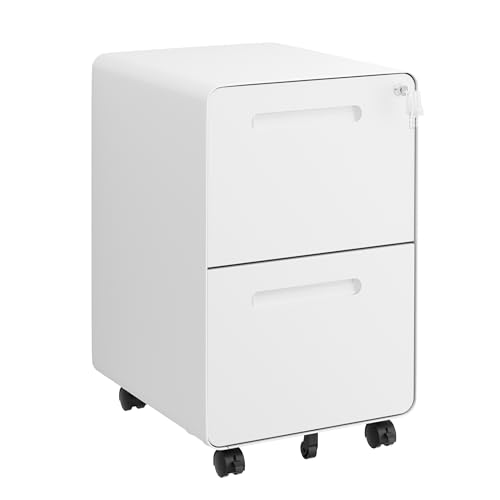 LVSTEEL 2 Drawer Locking Cabinet