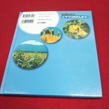 【7月19日値下げ‼️】Dr.Brain 幼児教室ひまわり　基本編DVD3本セット Dr. Brain 幼児教室ひまわり 基本編、特別編セット 幼児教室