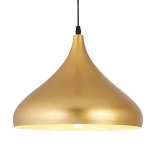 Lampe suspendue creative Iron Art lustre a vis E27 suspension HAIDU