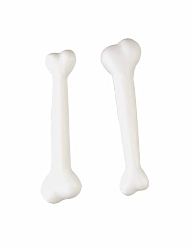DEGUISE TOI - Lot de 2 os en plastique - 2 Os - Taille Unique - Blanc - Accessoires pour déguisement - Plastique - - Carnaval