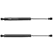 YMAUGP Pair Rear Trunk Lift Supports Struts Shocks Springs Dampers for Jaguar X - Type 2002 2003 2004 2005 2006 2007 2008 Trunk 6403,SG466004,C2S001687