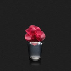 hollister addison perfume