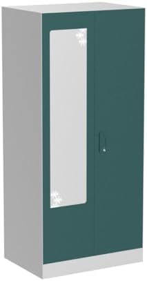 GODREJ INTERIO Almirah Slimline 2-Door Steel Almirah, Cupboard for Clothes (Textured Sea Pine), 1-Year Warranty, 4 Shelves, Star Design Mirror