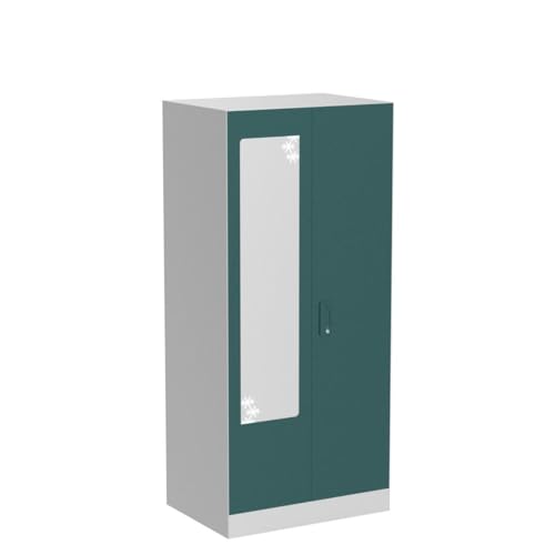 GODREJ INTERIO Almirah Slimline 2-Door Steel Almirah, Cupboard for Clothes (Textured Sea Pine), 1-Year Warranty, 4 Shelves, Star Design Mirror