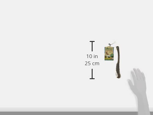 Dehner Best Nature Hundesnack, hochwertiges Leckerli geruchsarm / 100 % narürlich, Kausnack für Hunde, Rothirsch-Geweih halb, Größe M