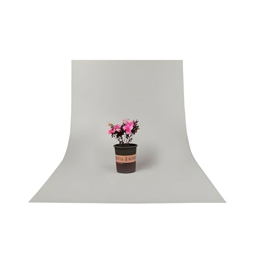 Image of SMILEDRIVE Photography Background Sheets, 60 x 120 cm, Grey & White | Waterproof, Wrinklefree, PVC Material