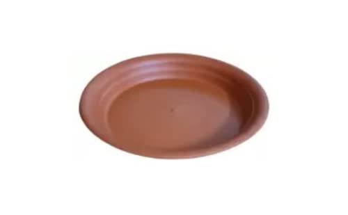 See full amazon price history chart for Naturally Green Planter Gamla Bottom Plate or Tray 10 inch Diameter for Planters and Pot Size 10 inch and Below Pack of 5 Naturally Green Planter Gamla Bottom Plate or Tray 10 inch Diameter for Planters and Pot Size 10 inch and Below Pack of 5 (B093Y89142) Amazon Price History, Amazon Price Tracker