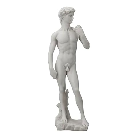 Veronese Design 13 Inch David Statue Cover