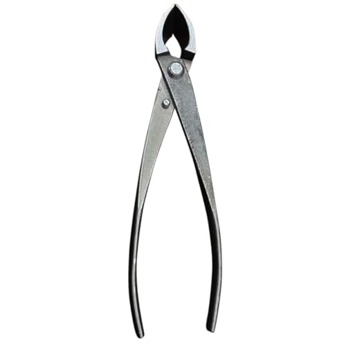 Ipetboom �~�͓��� ���|�p������ �Ό��n�T�~ �X�e�����X�� ����΂��� �K�[�f�j���O��H�� ��؎}�؂� �~�͎����p