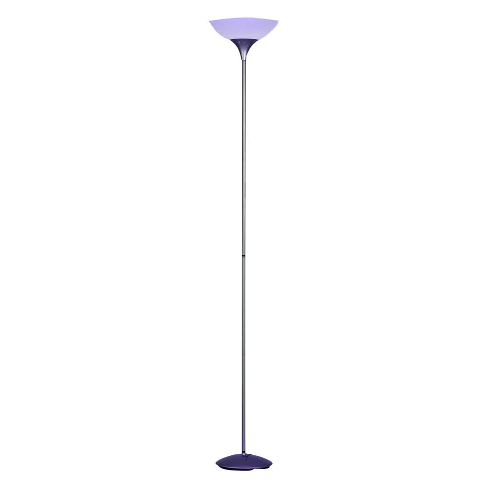 Smart Home Steh Lampe Decken Fluter App-und Sprachsteuerung Leuchte dimmbar im Set inkl. RGB LED Leuchtmittel
