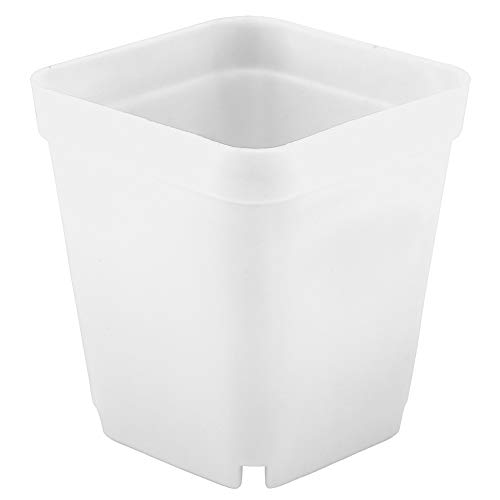 Atyhao 20pcs Mini Modern Succulent Plant Pots Small plastic Containers, Scrub square Pots(white)