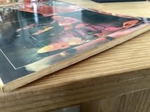 Amazon.co.jp: 楽譜ライクーダーRY COODERタブ譜ギタースコア