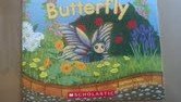 Butterfly 0545266378 Book Cover