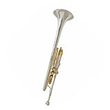 trompeta dorada Después de pulir finamente la superficie, se rocía con pintura y se adopta dando como resultado mejores detalles y una mejor sensación.