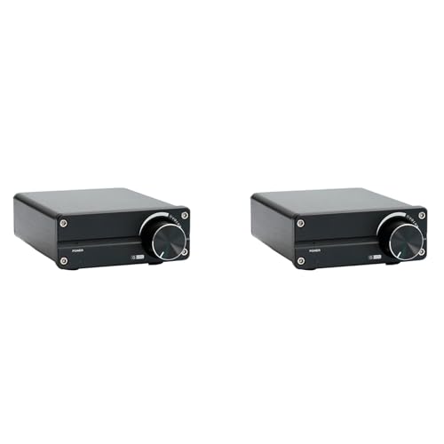 Amplificateur stéréo domestique TPA3116 D100 pour sublimer votre musique de salon
